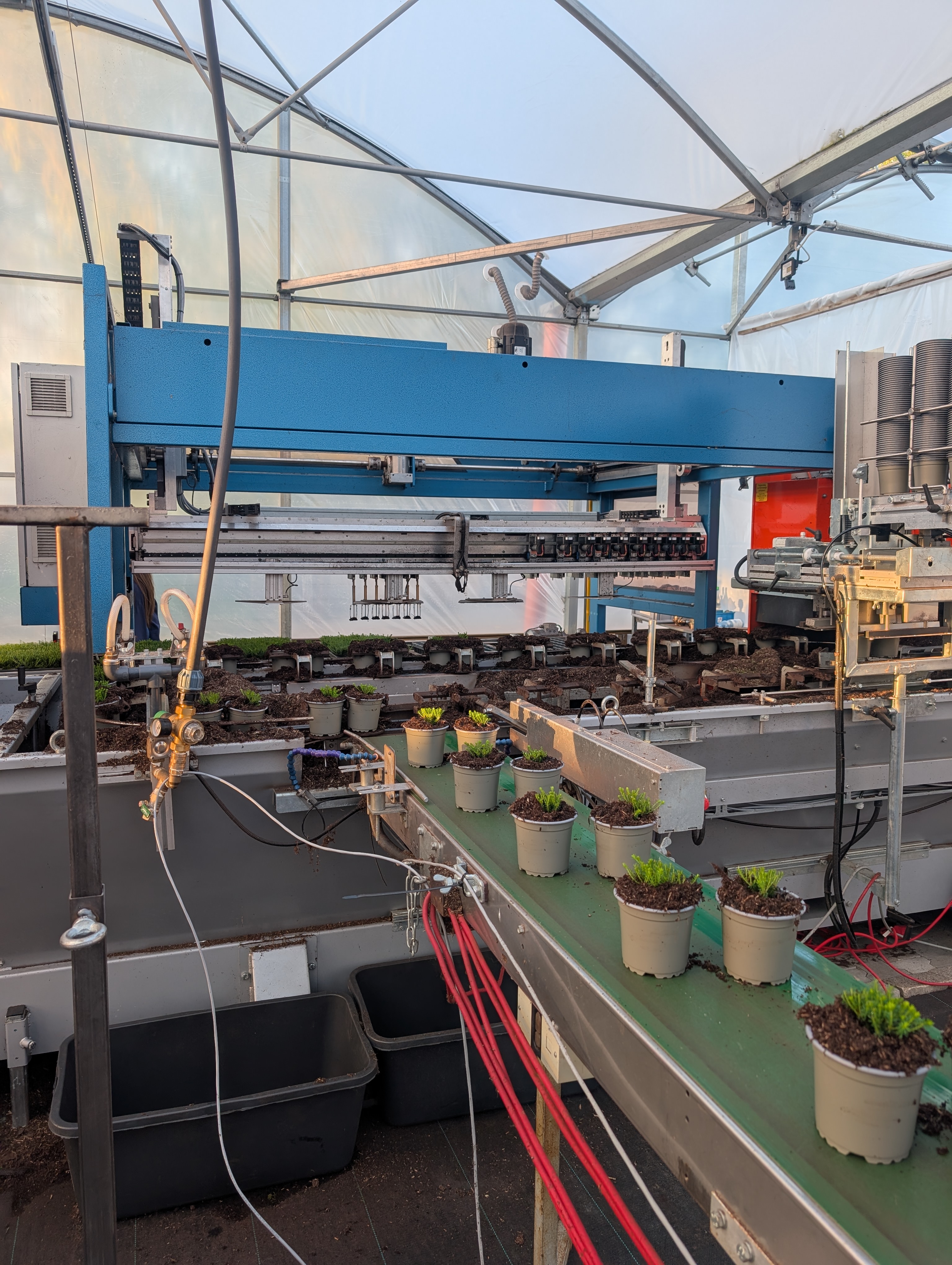 06bna_2026_gartenbau_de_vries.jpg